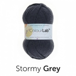 WYS ColourLab DK 100g - Stormy Grey